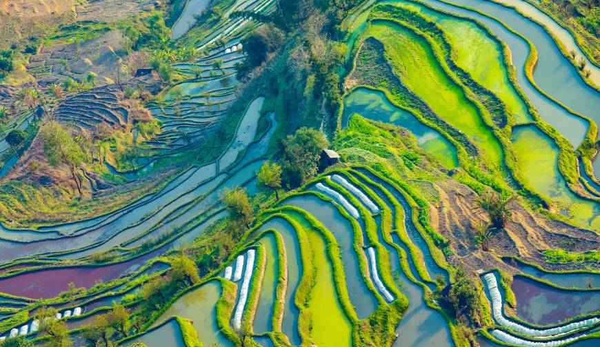 宝妈必备神器：正镶白旗产品视频拍摄轻松育儿好帮手